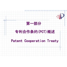 PCT申请代理